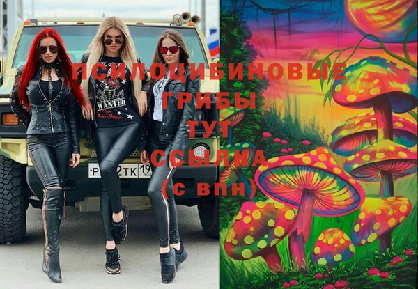 дурь Каменск-Шахтинский