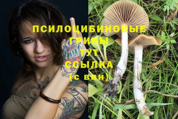 PSILOCYBIN Каменка