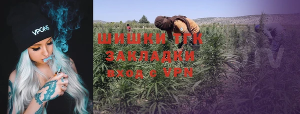 трава Инсар