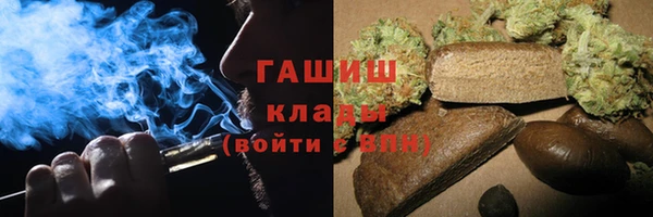 PSILOCYBIN Каменка