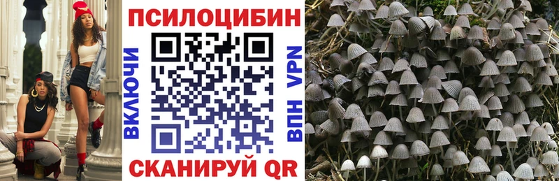 Псилоцибиновые грибы мухоморы  Кольчугино 