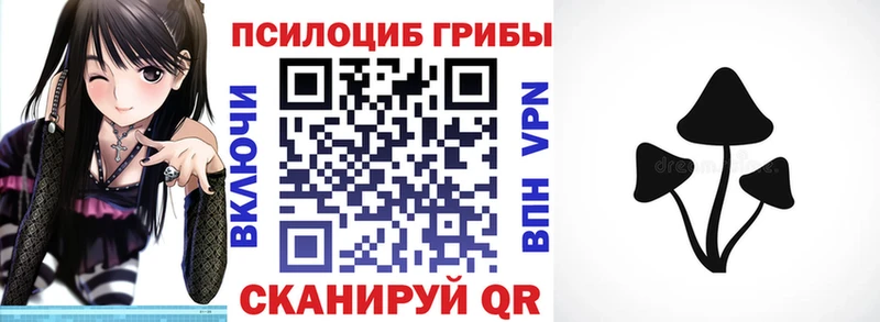 Псилоцибиновые грибы MAGIC MUSHROOMS Кольчугино